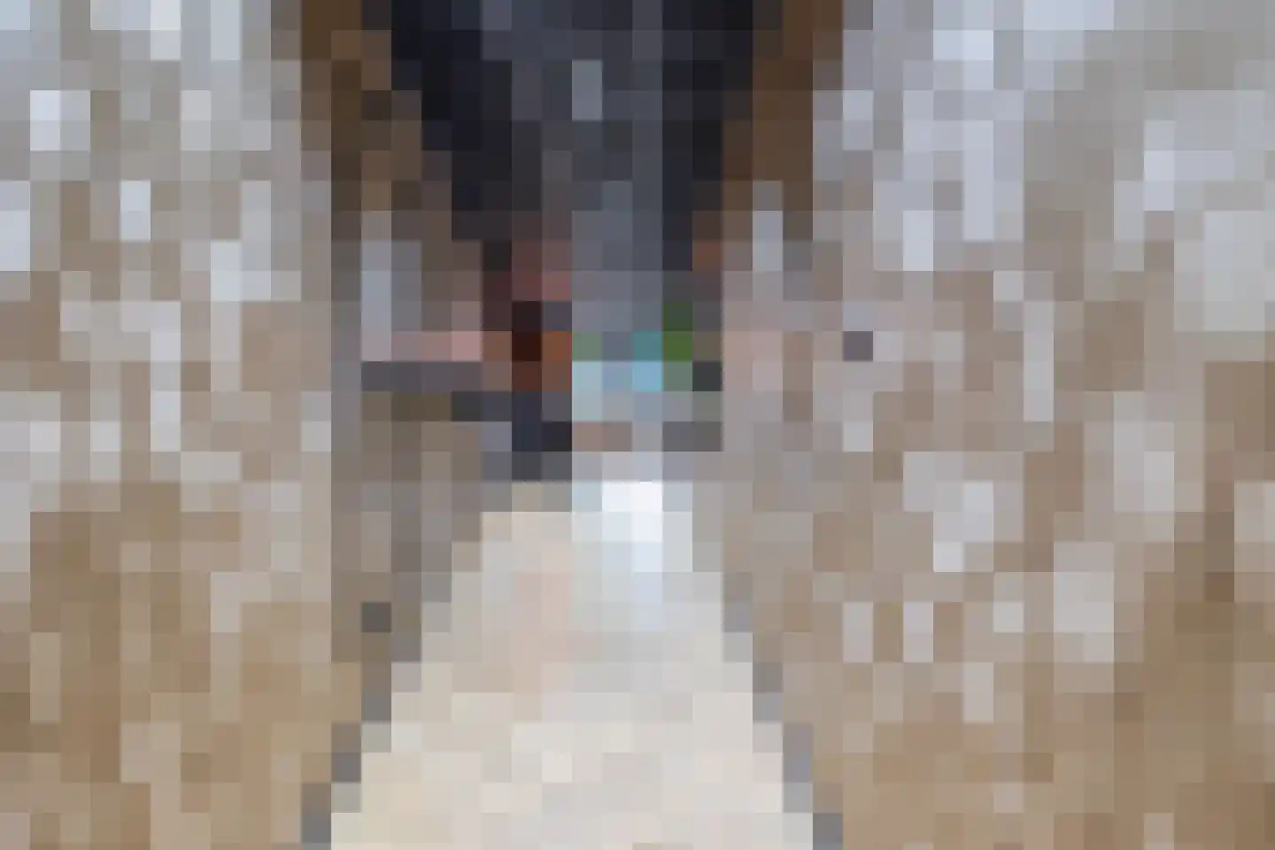 Wilhelminastraat 36 Vlagtwedde thumbnail 23