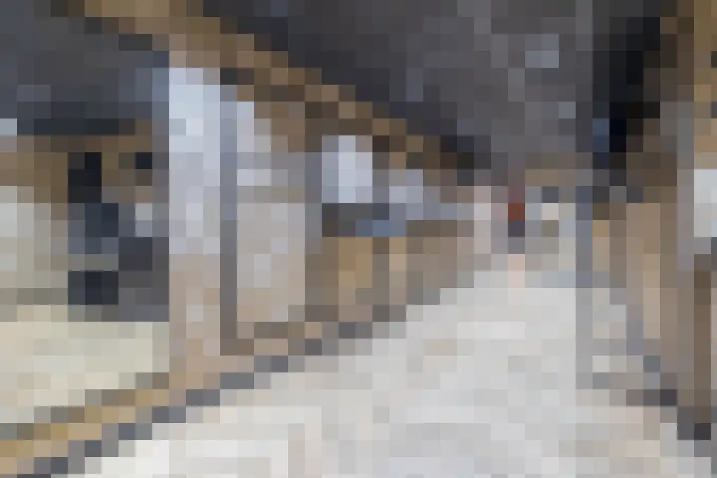 Wilhelminastraat 36 Vlagtwedde thumbnail 24