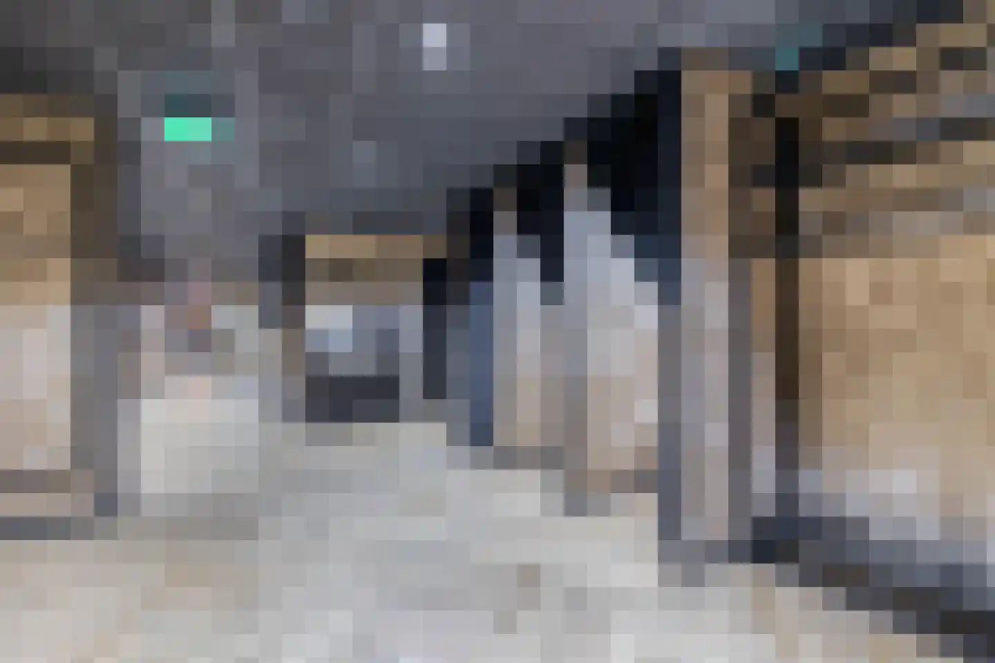 Wilhelminastraat 36 Vlagtwedde thumbnail 25
