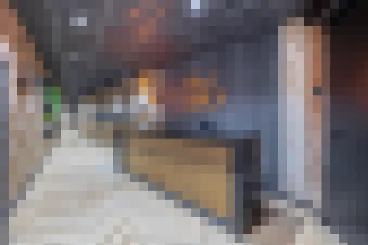 Wilhelminastraat 36 Vlagtwedde thumbnail 9