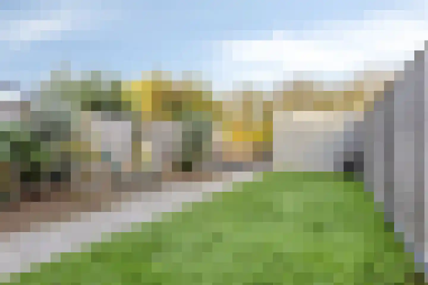 Wilhelminastraat 36 Wissenkerke thumbnail 31