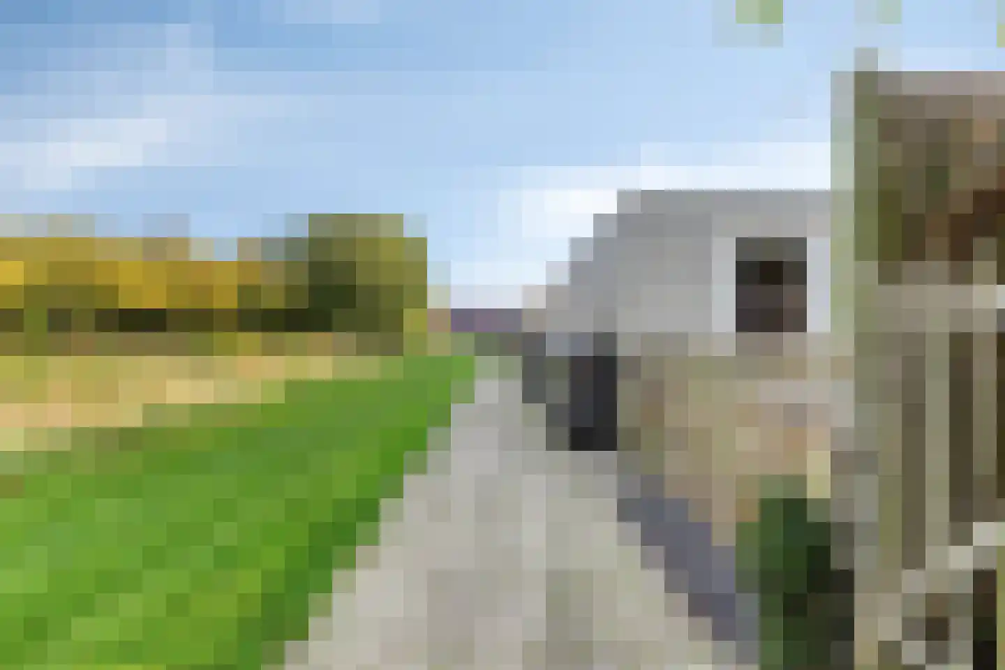 Wilhelminastraat 36 Wissenkerke thumbnail 34