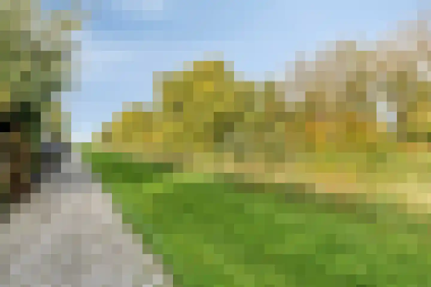 Wilhelminastraat 36 Wissenkerke thumbnail 35