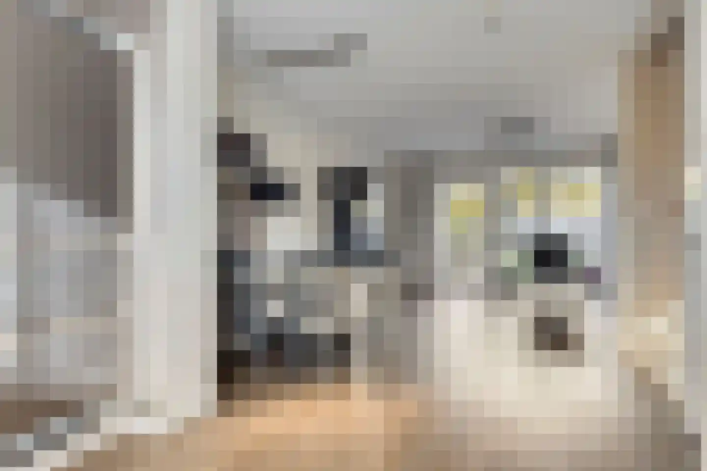 Wilhelminastraat 36 Wissenkerke thumbnail 6
