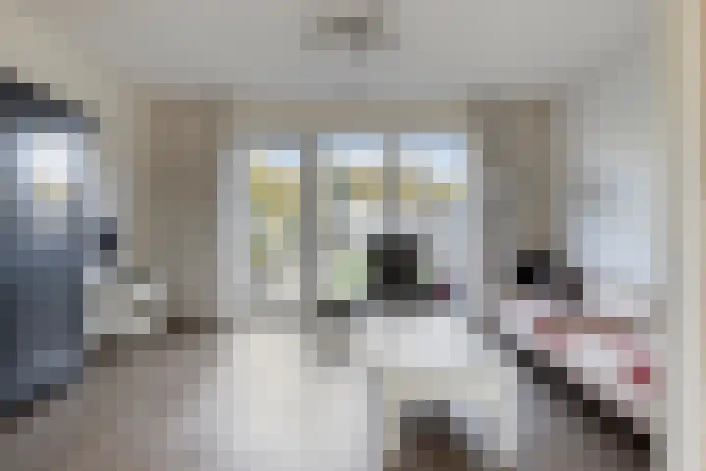 Wilhelminastraat 36 Wissenkerke thumbnail 7