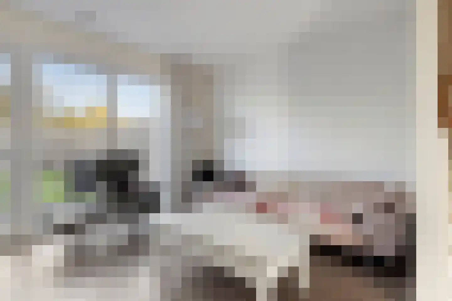 Wilhelminastraat 36 Wissenkerke thumbnail 9