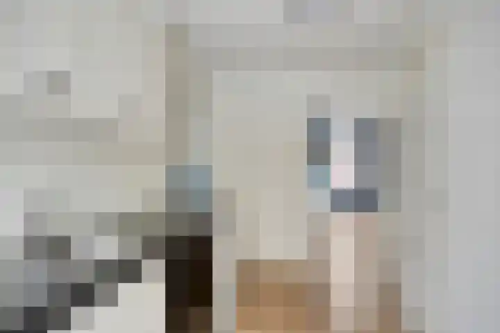 Wilhelminastraat 37 C Denekamp thumbnail 12