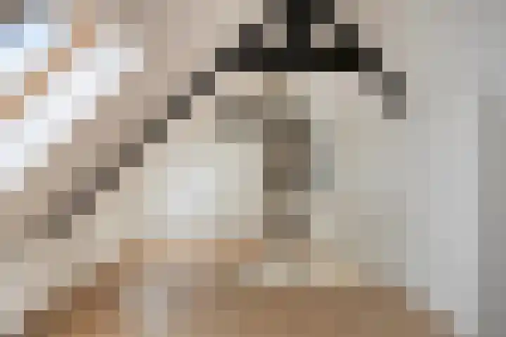 Wilhelminastraat 37 C Denekamp thumbnail 19