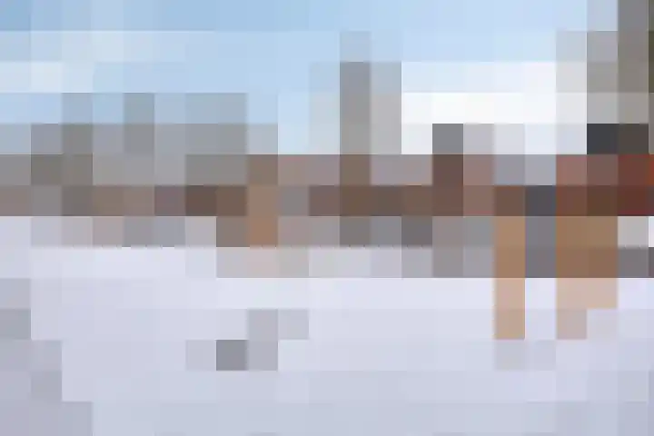 Wilhelminastraat 37 C Denekamp thumbnail 27