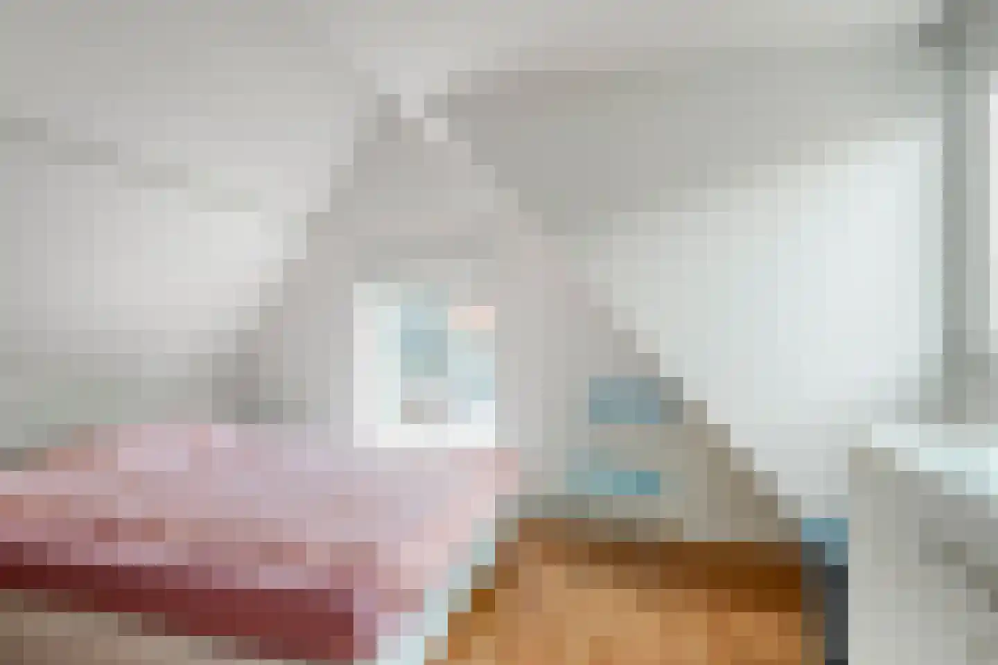 Wilhelminastraat 37 Meppel thumbnail 25