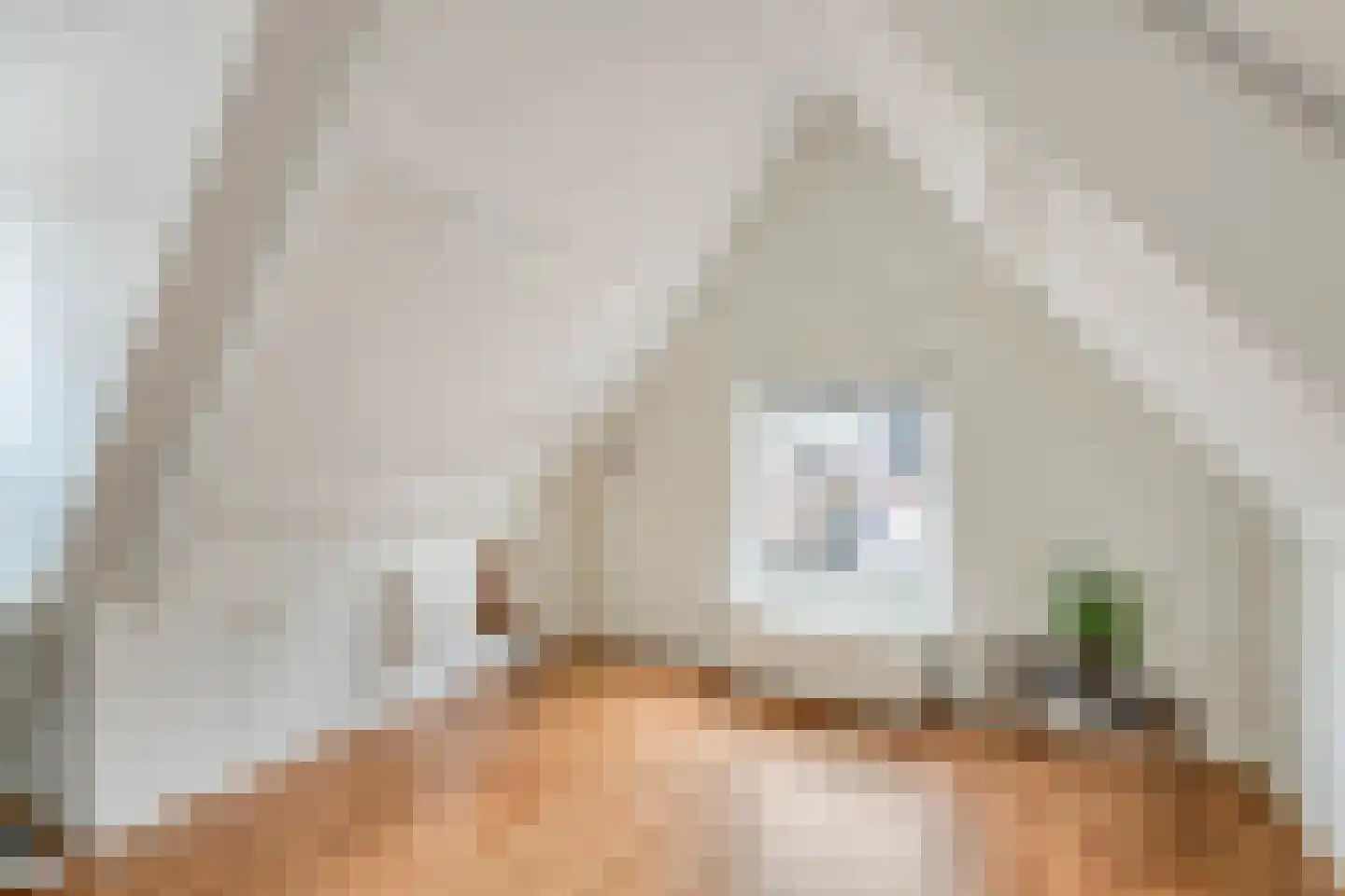Wilhelminastraat 37 Meppel thumbnail 28