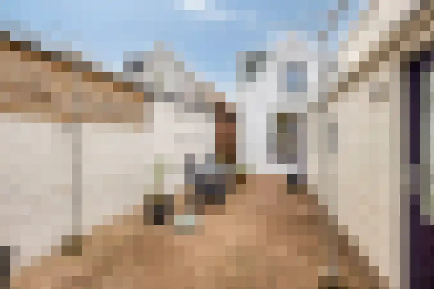 Wilhelminastraat 37 Meppel thumbnail 32