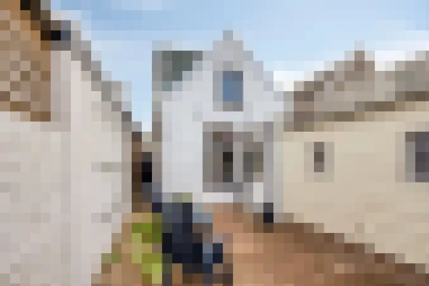 Wilhelminastraat 37 Meppel thumbnail 33