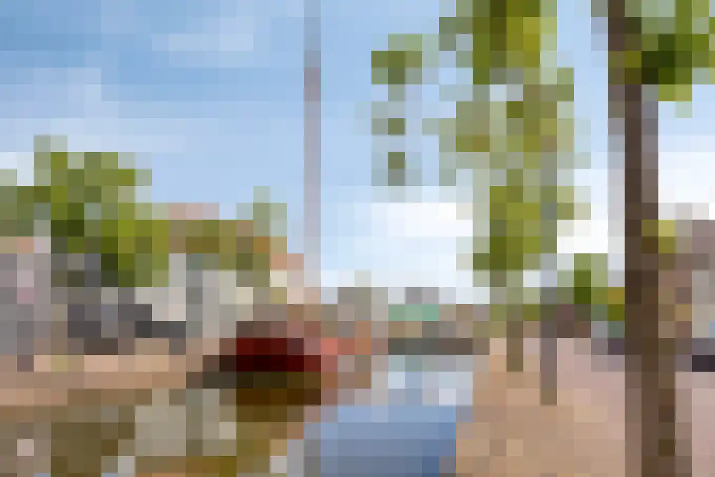 Wilhelminastraat 37 Meppel thumbnail 36
