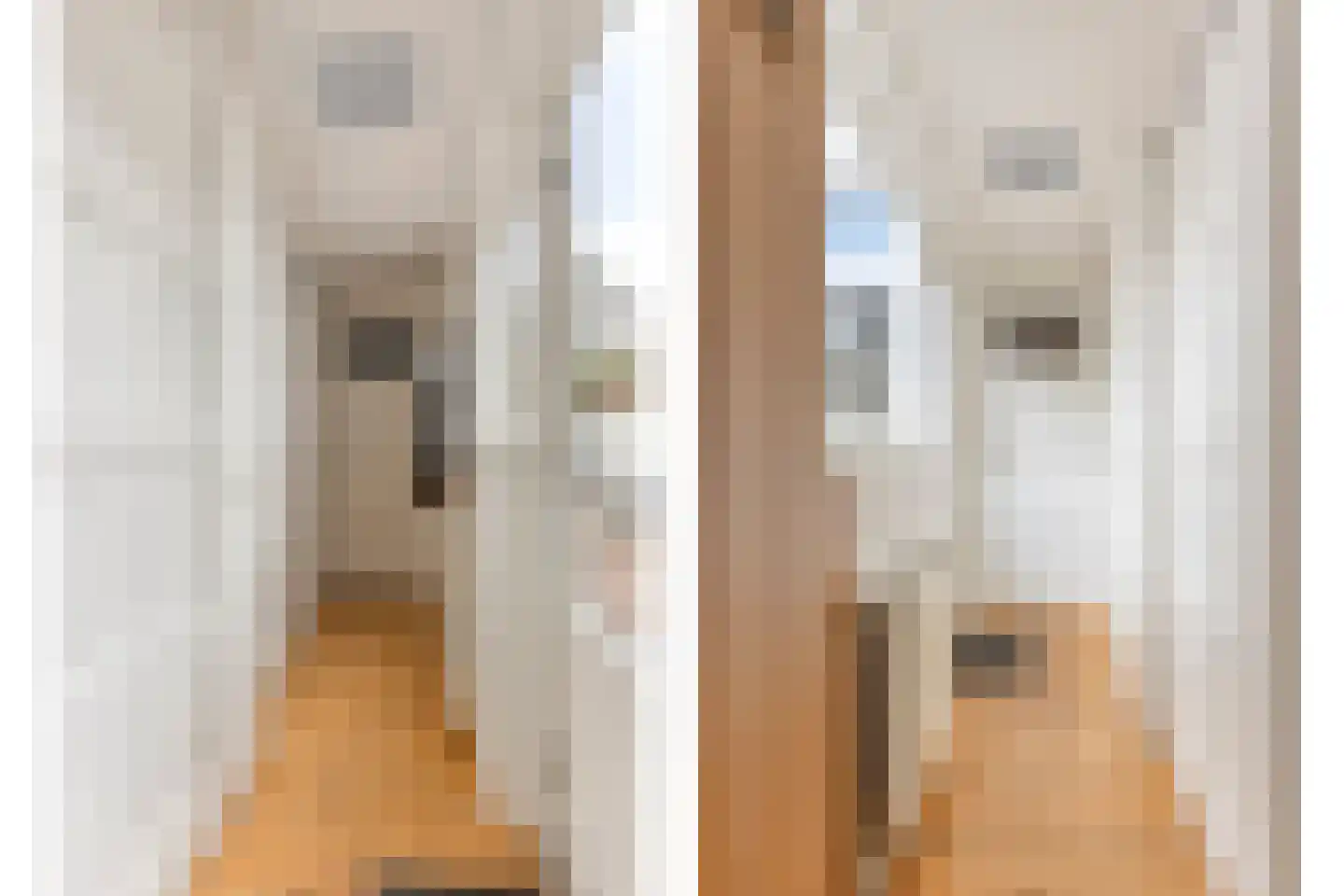 Wilhelminastraat 37 Meppel thumbnail 8