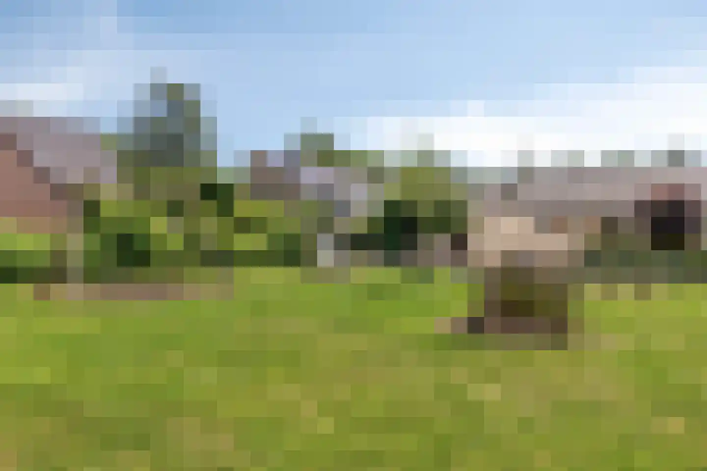 Wilhelminastraat 37 Nieuw-Beijerland thumbnail 24