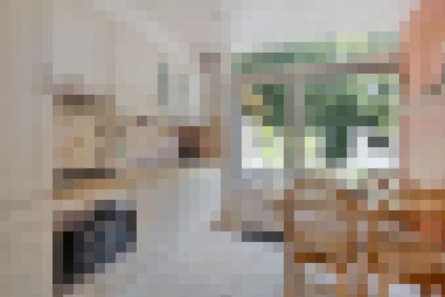 Wilhelminastraat 37 Nieuw-Beijerland thumbnail 8