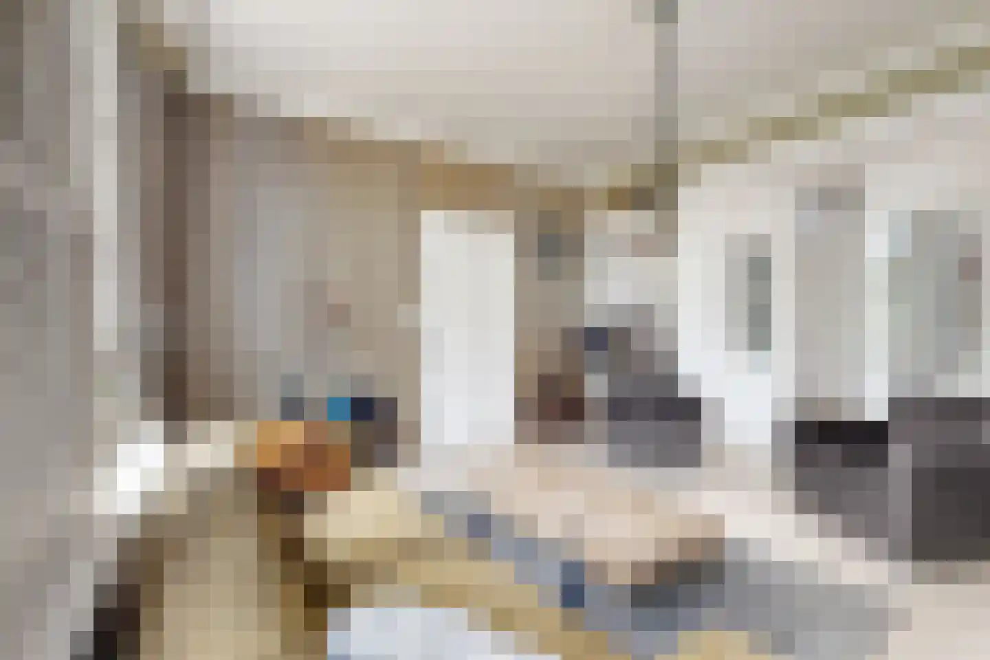 Wilhelminastraat 38 Fijnaart thumbnail 18