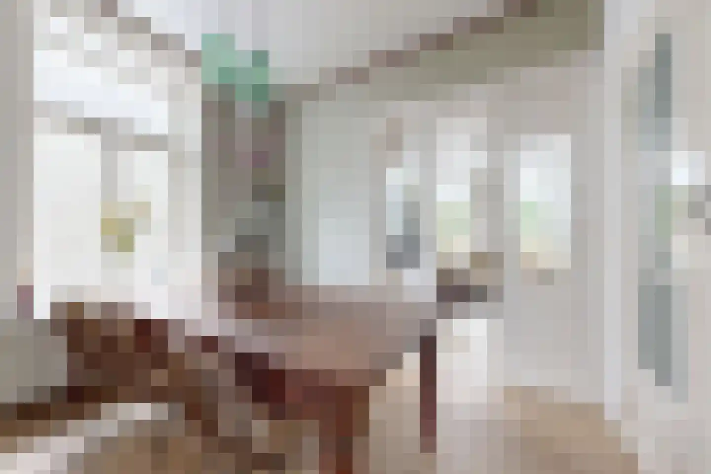 Wilhelminastraat 38 Fijnaart thumbnail 20
