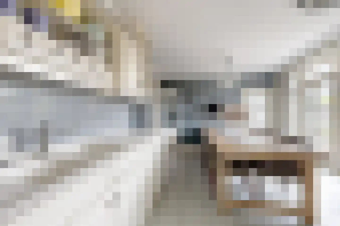Wilhelminastraat 38 Fijnaart thumbnail 27