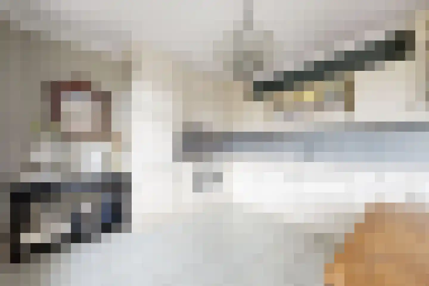 Wilhelminastraat 38 Fijnaart thumbnail 29
