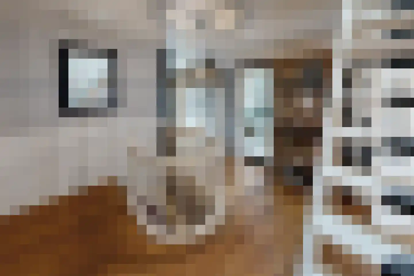 Wilhelminastraat 38 Fijnaart thumbnail 36