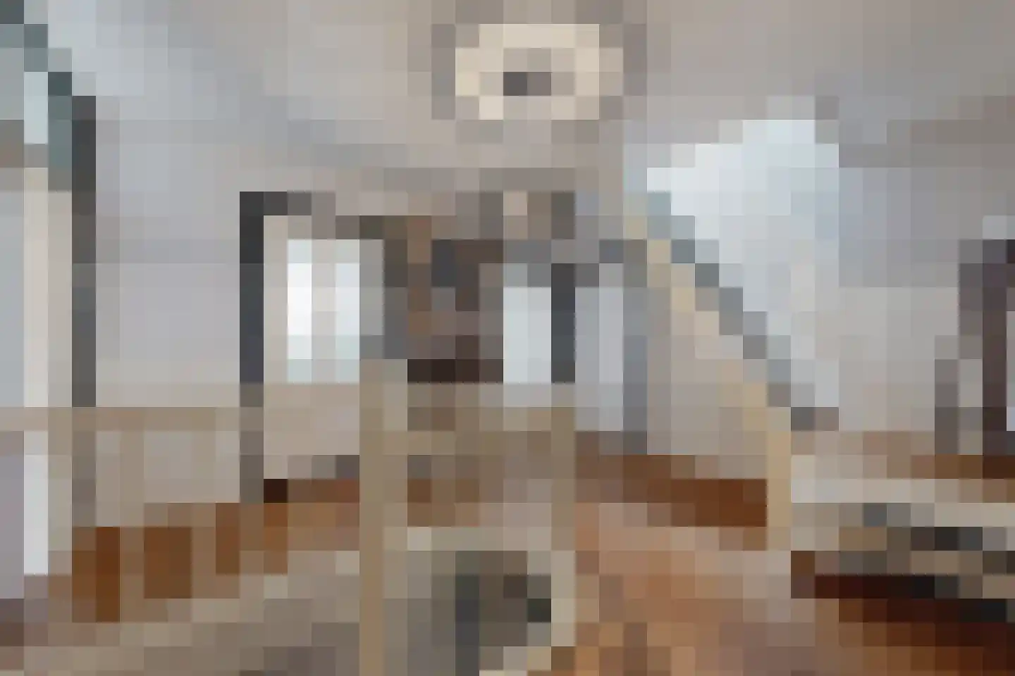 Wilhelminastraat 38 Fijnaart thumbnail 37