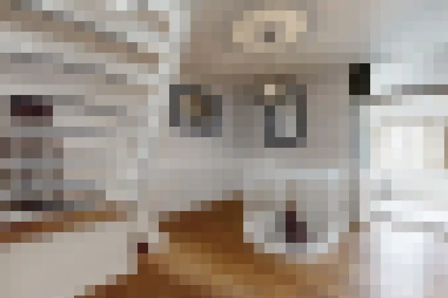 Wilhelminastraat 38 Fijnaart thumbnail 38