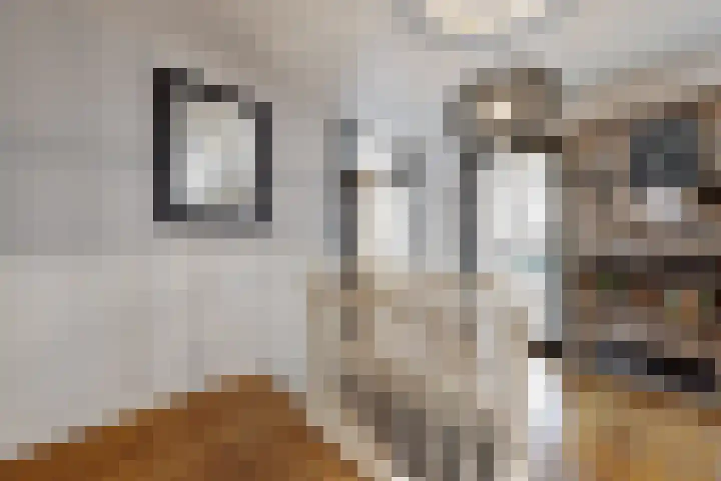 Wilhelminastraat 38 Fijnaart thumbnail 39