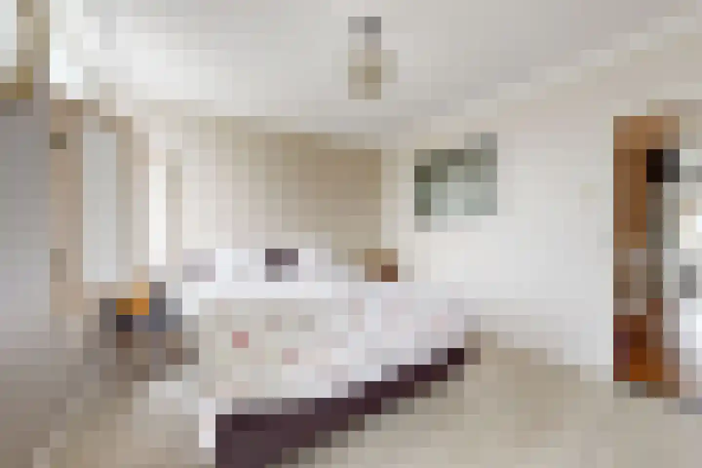 Wilhelminastraat 38 Fijnaart thumbnail 40