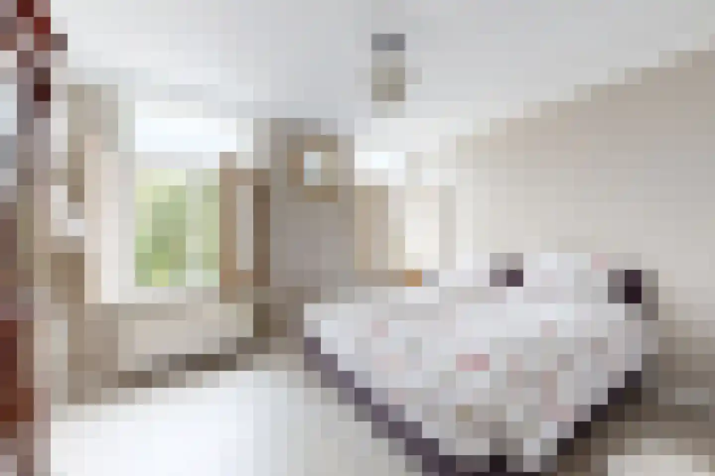 Wilhelminastraat 38 Fijnaart thumbnail 41