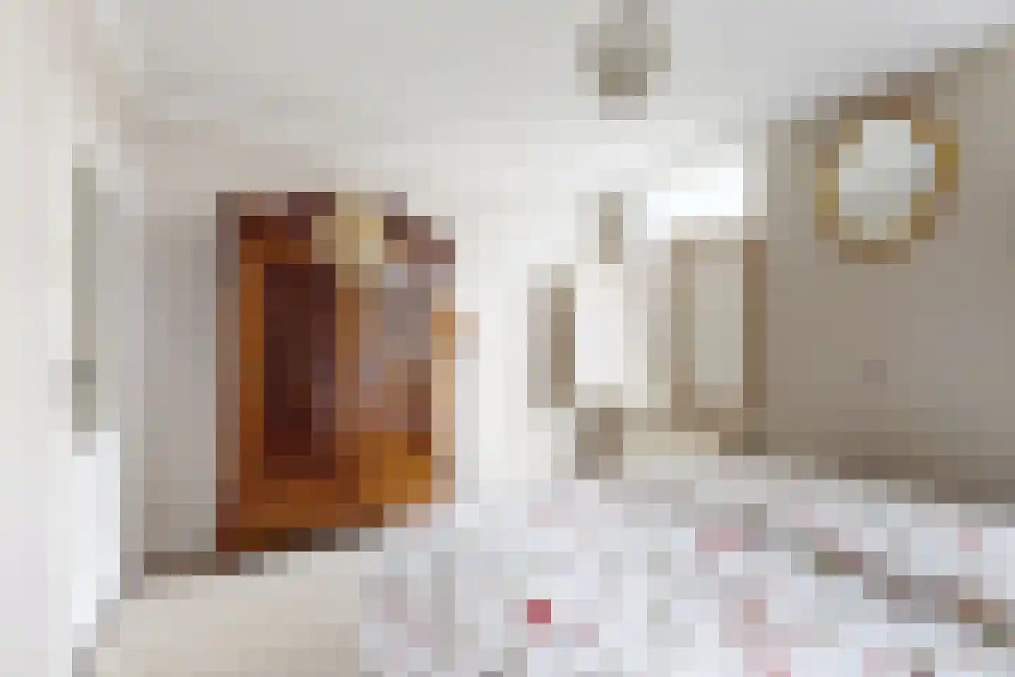 Wilhelminastraat 38 Fijnaart thumbnail 43