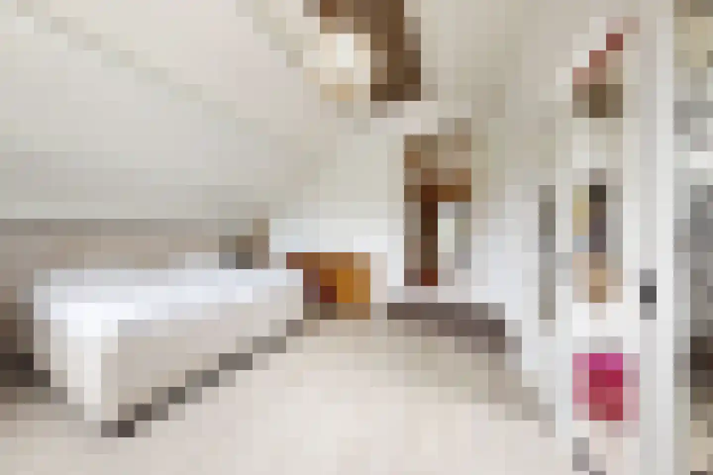Wilhelminastraat 38 Fijnaart thumbnail 46