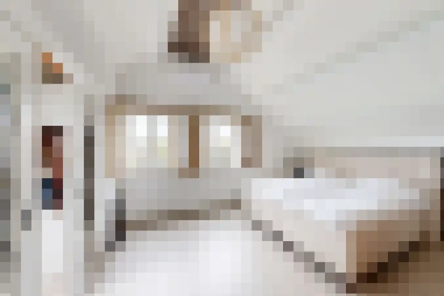 Wilhelminastraat 38 Fijnaart thumbnail 47
