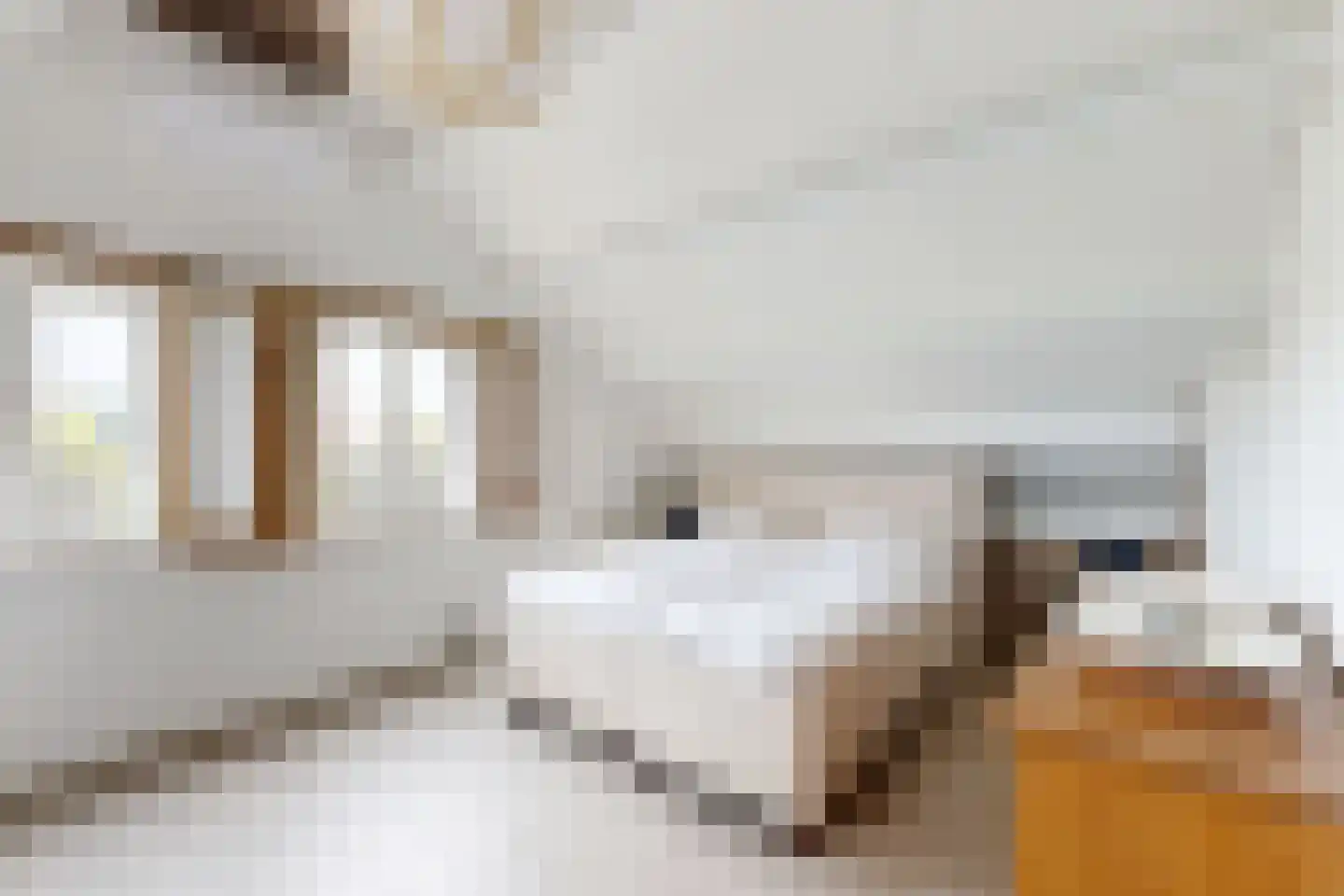 Wilhelminastraat 38 Fijnaart thumbnail 48