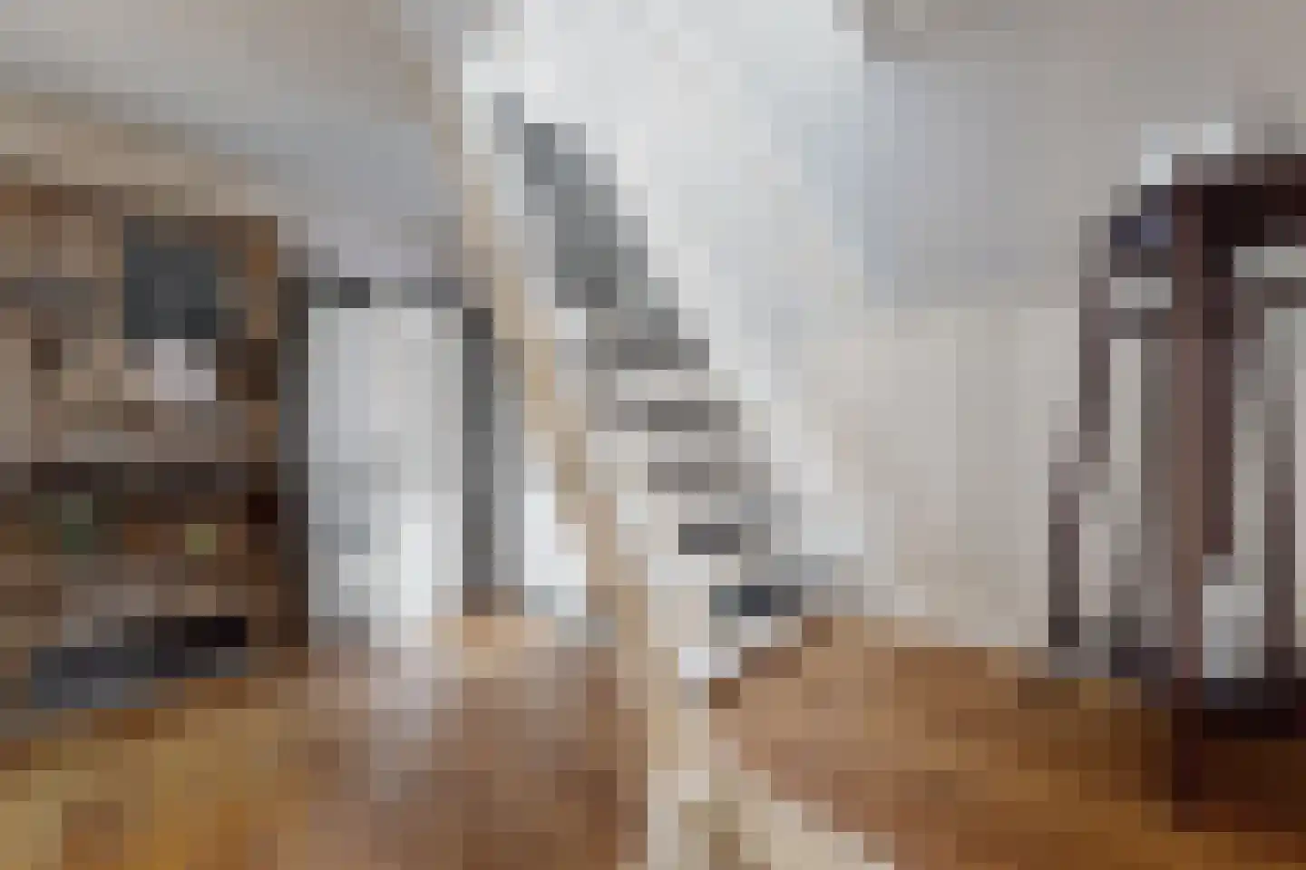 Wilhelminastraat 38 Fijnaart thumbnail 56