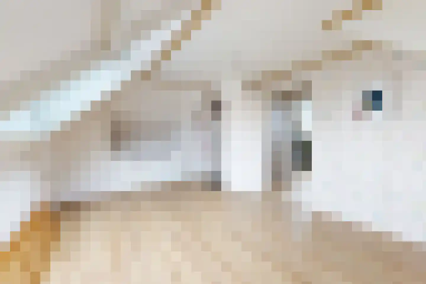 Wilhelminastraat 38 Fijnaart thumbnail 58
