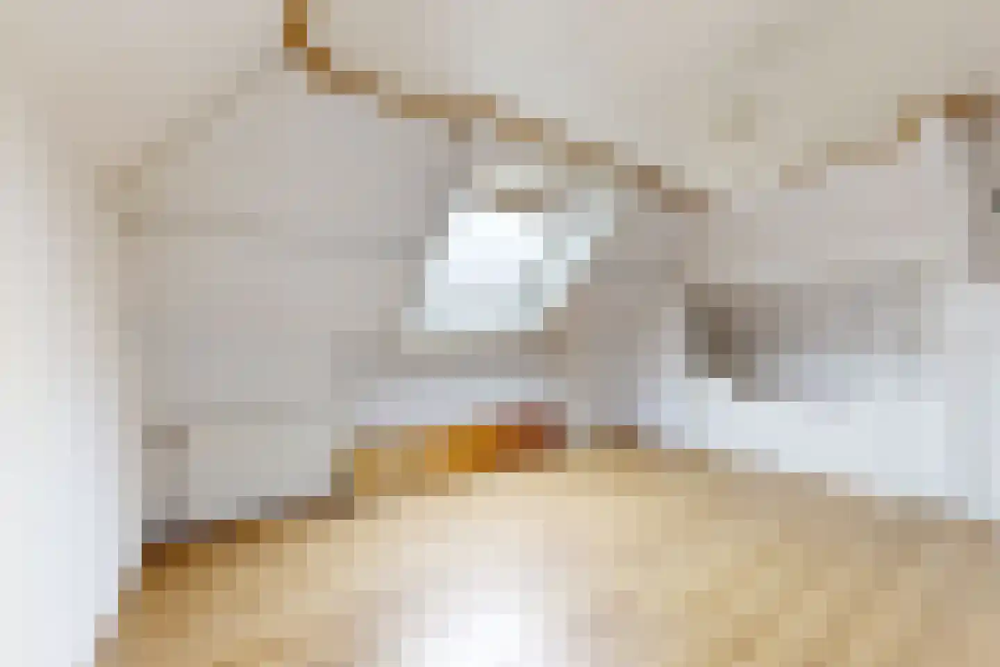 Wilhelminastraat 38 Fijnaart thumbnail 59