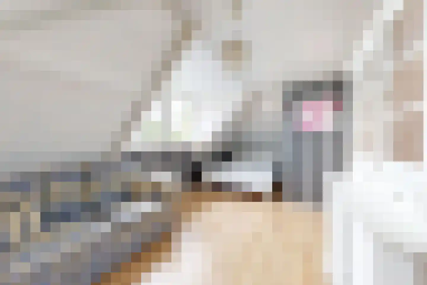 Wilhelminastraat 38 Fijnaart thumbnail 62