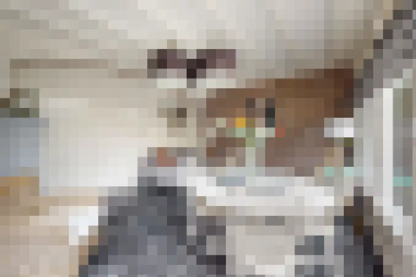 Wilhelminastraat 38 Fijnaart thumbnail 69