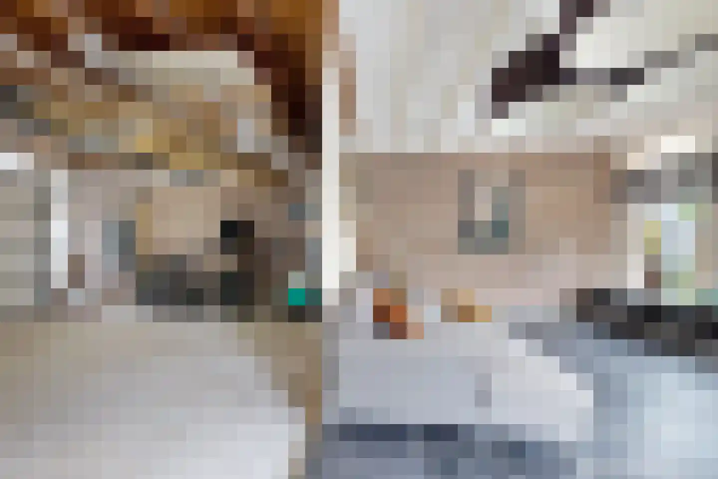 Wilhelminastraat 38 Fijnaart thumbnail 70