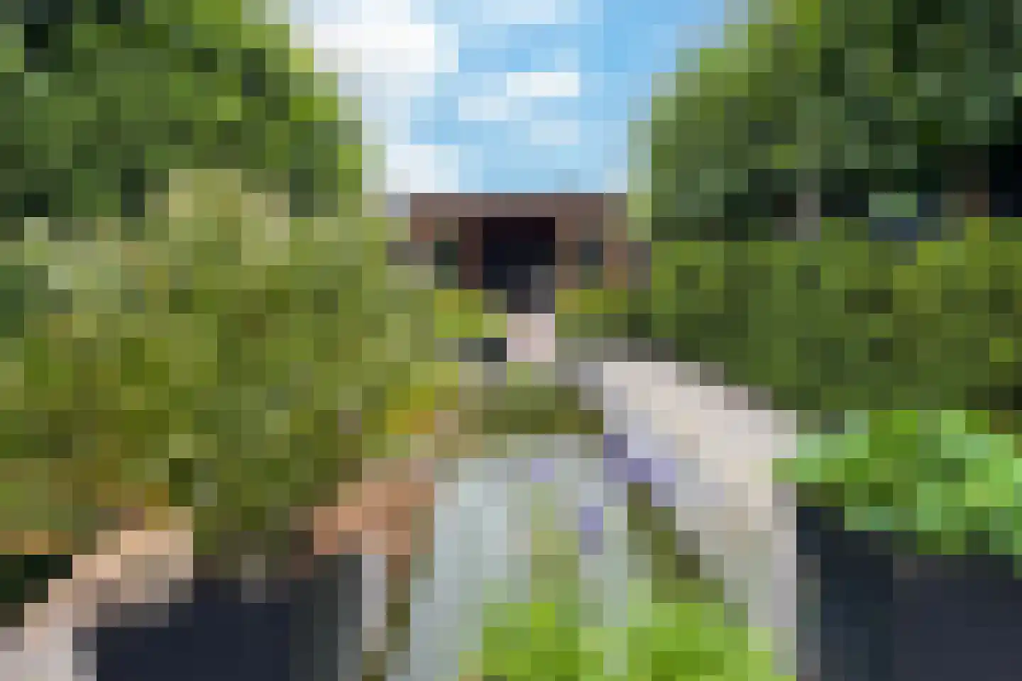 Wilhelminastraat 38 Fijnaart thumbnail 81
