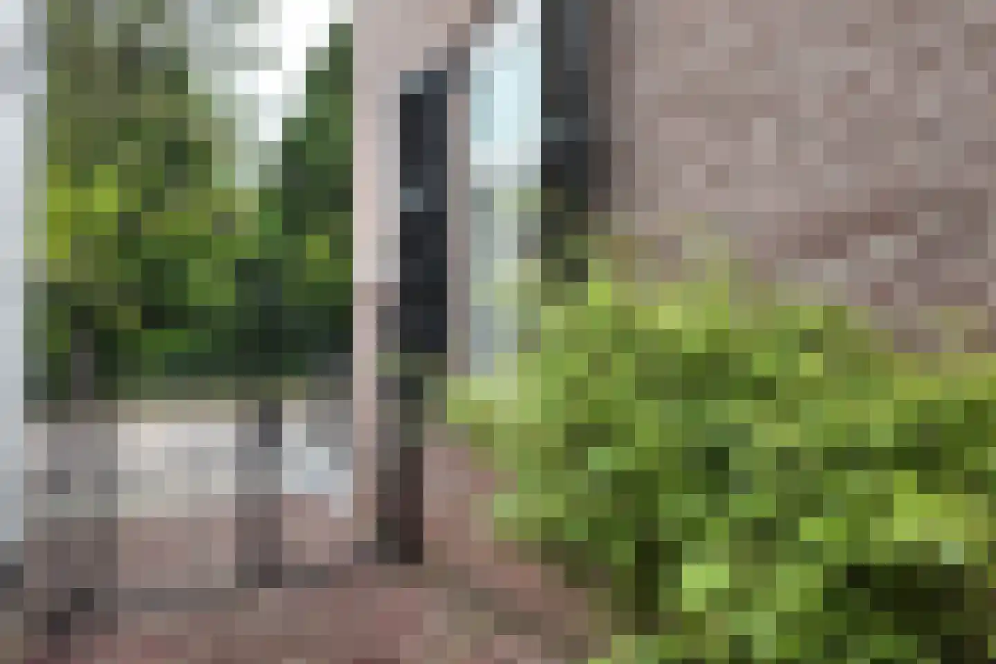 Wilhelminastraat 38 Fijnaart thumbnail 86