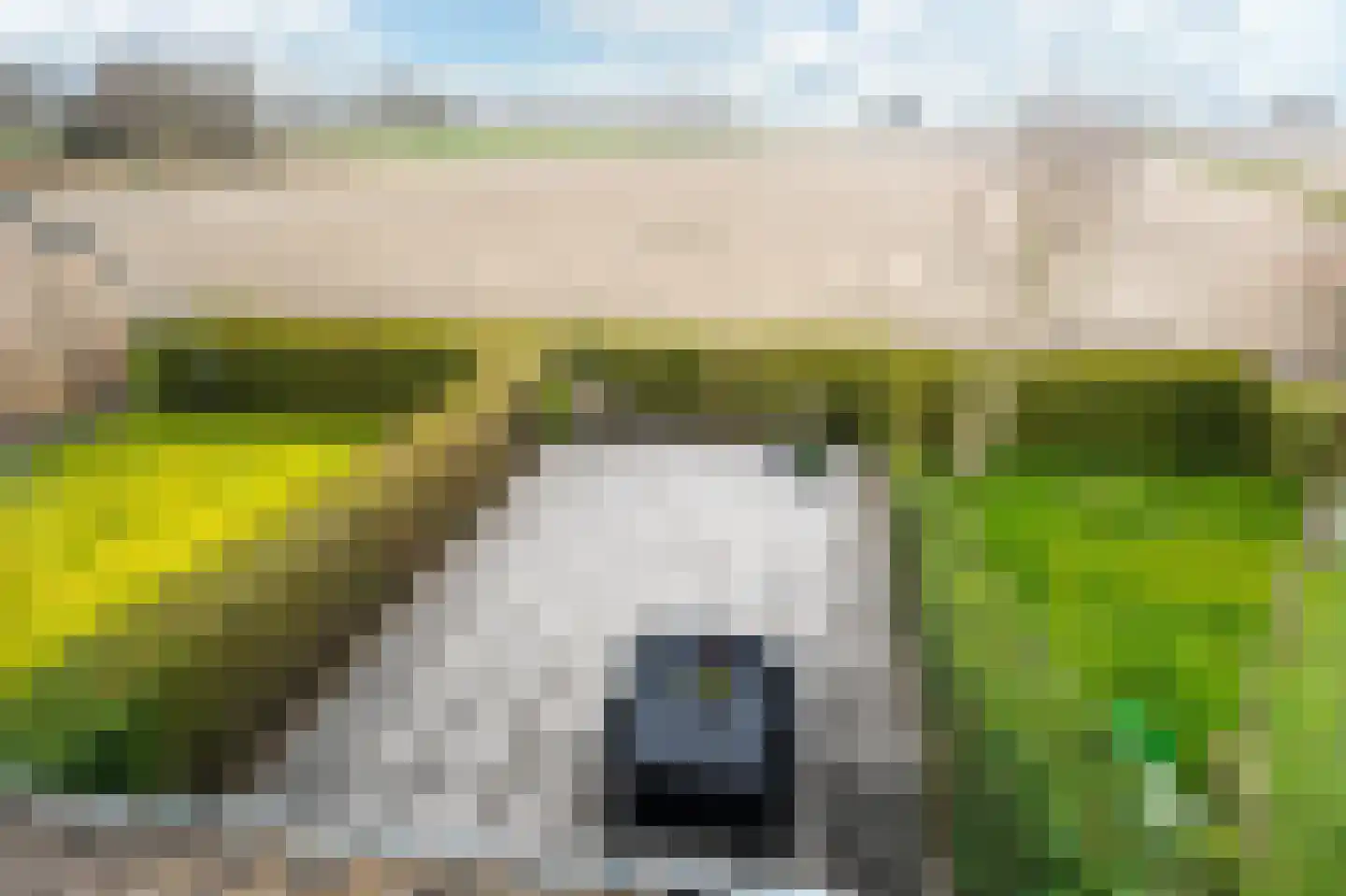 Wilhelminastraat 38 Marrum thumbnail 37