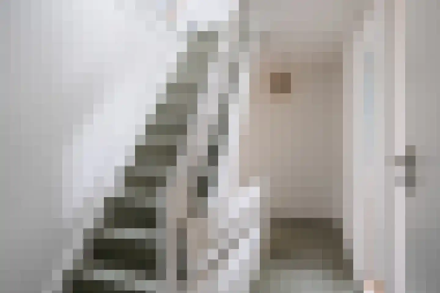 Wilhelminastraat 38 Marrum thumbnail 38