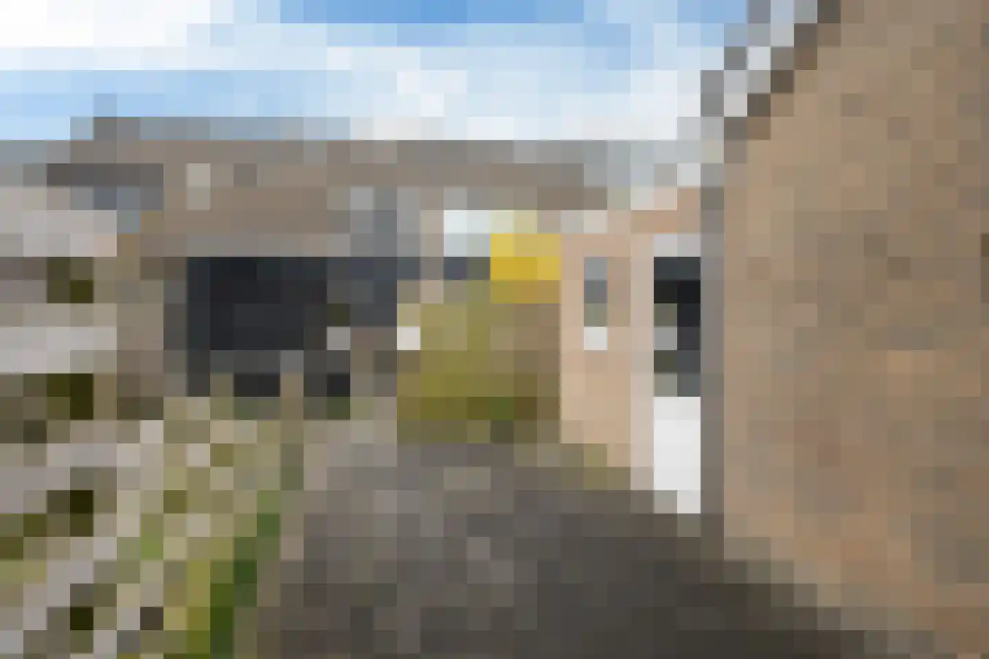 Wilhelminastraat 38 Marrum thumbnail 44