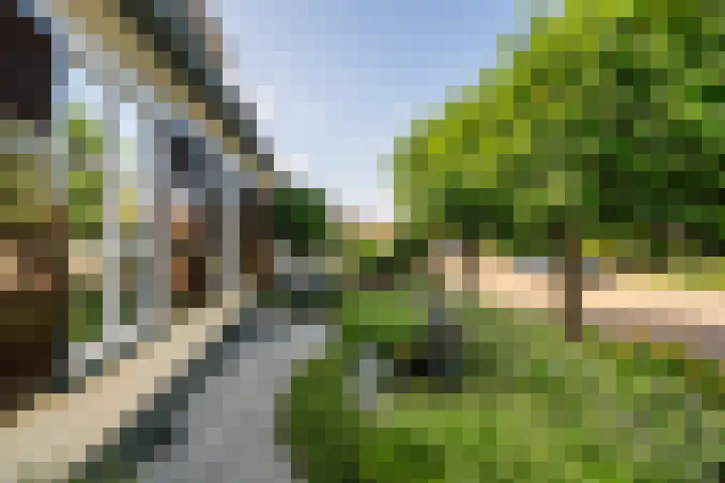 Wilhelminastraat 38 Sint Philipsland thumbnail 10