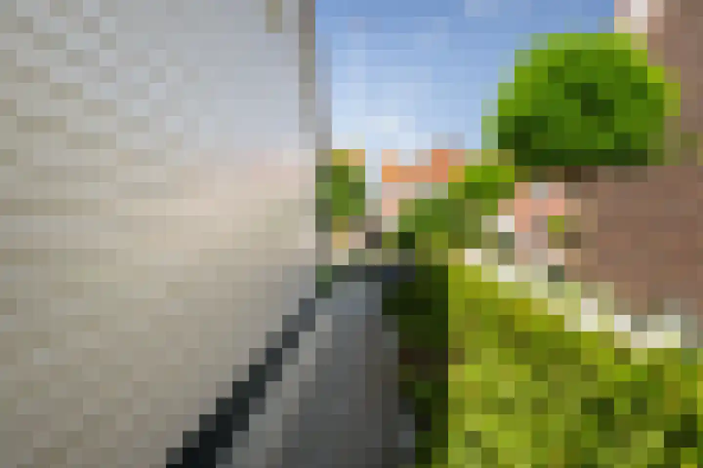 Wilhelminastraat 38 Sint Philipsland thumbnail 47