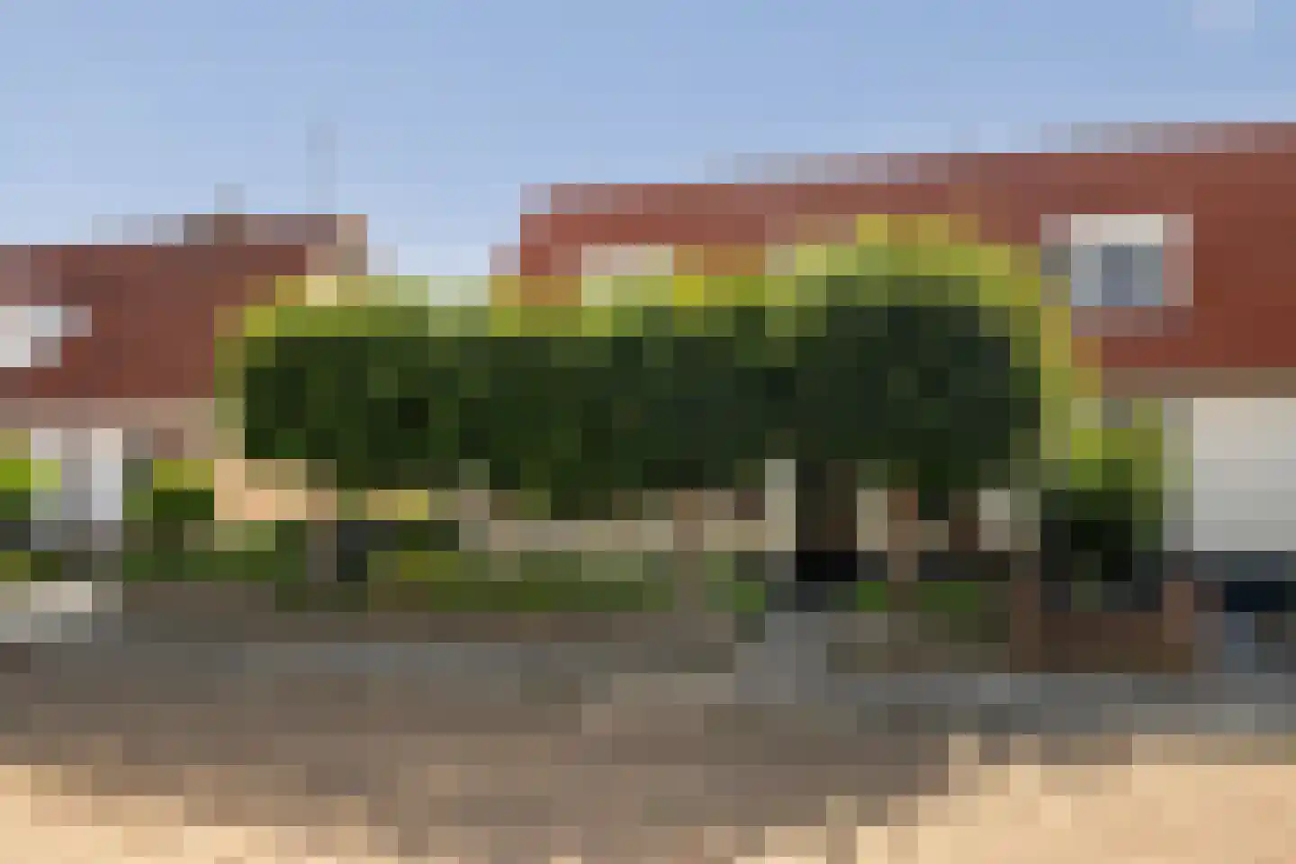 Wilhelminastraat 38 Sint Philipsland thumbnail 8