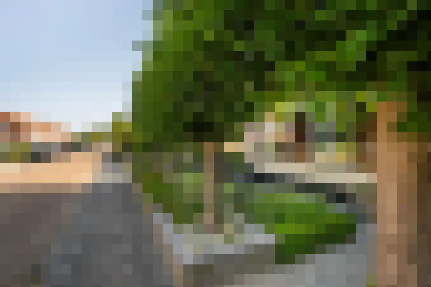 Wilhelminastraat 38 Sint Philipsland thumbnail 9
